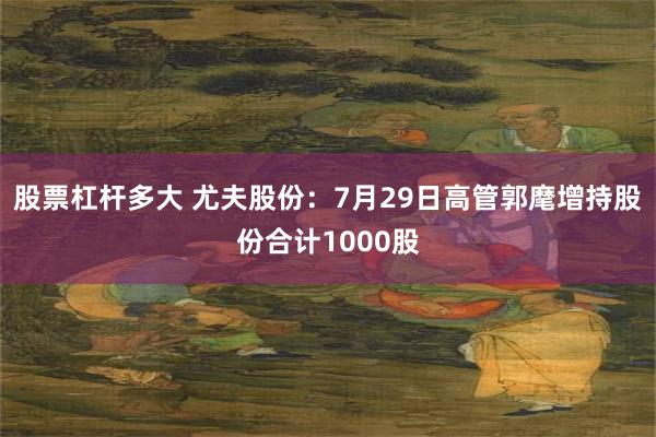 股票杠杆多大 尤夫股份：7月29日高管郭麾增持股份合计1000股