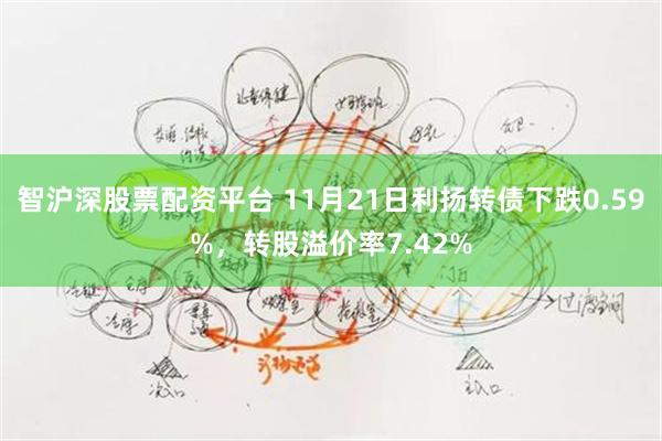 智沪深股票配资平台 11月21日利扬转债下跌0.59%，转股溢价率7.42%