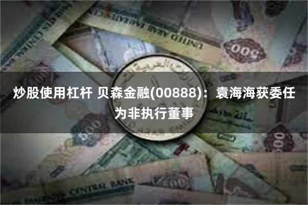 炒股使用杠杆 贝森金融(00888)：袁海海获委任为非执行董事