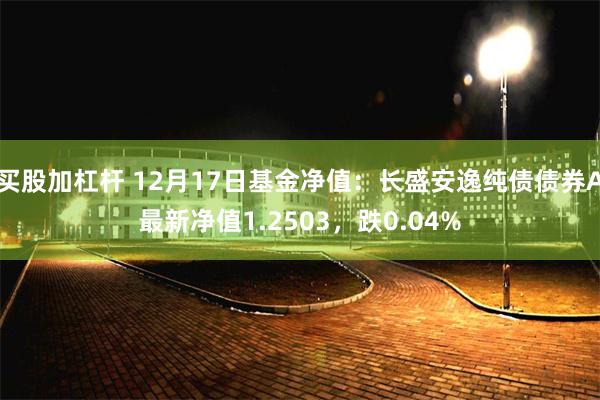 买股加杠杆 12月17日基金净值：长盛安逸纯债债券A最新净值1.2503，跌0.04%