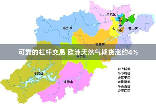 可靠的杠杆交易 欧洲天然气期货涨约4%