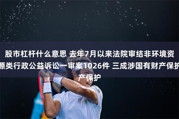 股市杠杆什么意思 去年7月以来法院审结非环境资源类行政公益诉讼一审案1026件 三成涉国有财产保护