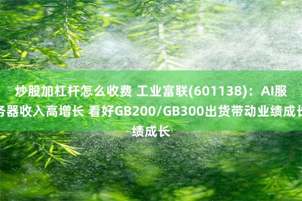 炒股加杠杆怎么收费 工业富联(601138)：AI服务器收入高增长 看好GB200/GB300出货带动业绩成长