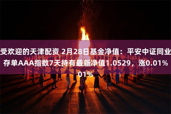 受欢迎的天津配资 2月28日基金净值：平安中证同业存单AAA指数7天持有最新净值1.0529，涨0.01%