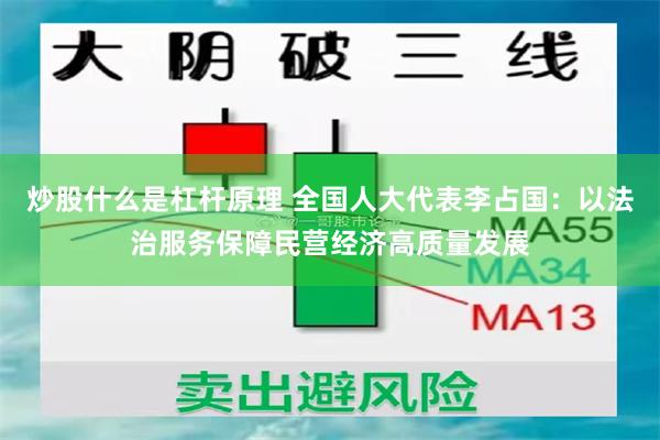 炒股什么是杠杆原理 全国人大代表李占国：以法治服务保障民营经济高质量发展