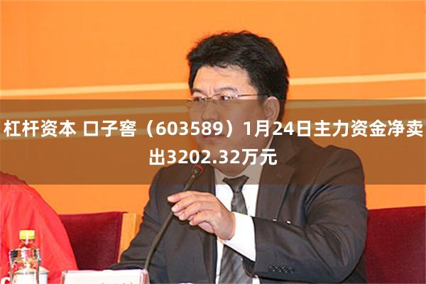 杠杆资本 口子窖（603589）1月24日主力资金净卖出3202.32万元